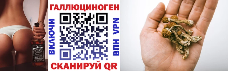 KRAKEN ONION  Бутурлиновка  Галлюциногенные грибы мицелий 